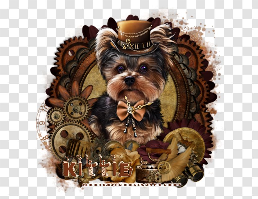 Yorkshire Terrier Puppy Dog Breed Toy Transparent PNG