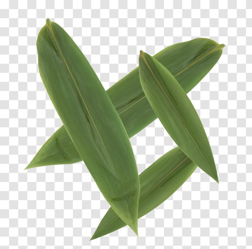 Leaf Bamboo - Deciduous - Multi-slice Leaves Transparent PNG