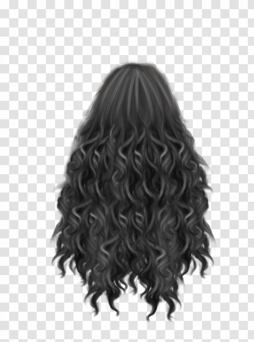 Artificial Hair Integrations Long - Layered - Curly Transparent PNG