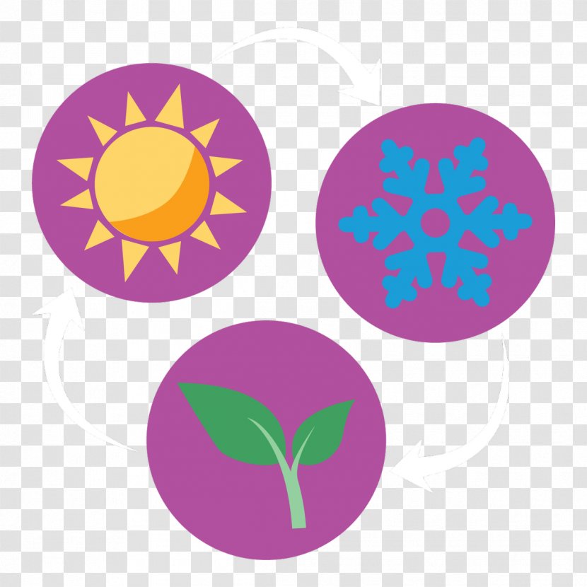 Clip Art Product Logo Purple - Symbol - Petal Transparent PNG