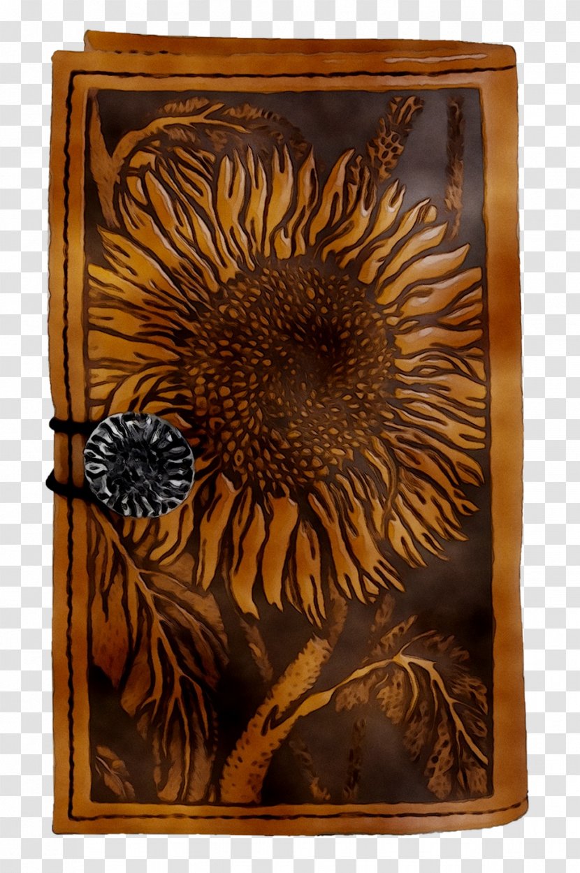Picture Frames Sunflower Metal Rectangle Image - Brown Transparent PNG