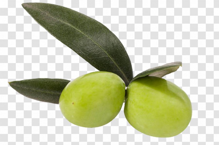 Olive Oil Fruit - Food - Two Olives Transparent PNG