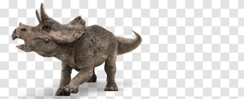 Baby Triceratops Tyrannosaurus Apatosaurus Velociraptor - Dinosaur - Jurassic Park Transparent PNG