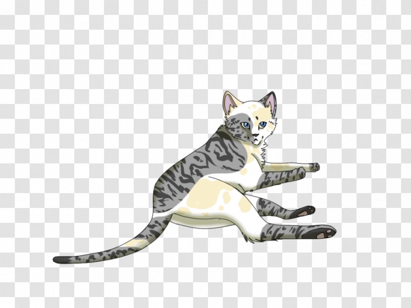 Tabby Cat Drawing DeviantArt Ivypool - Art Transparent PNG