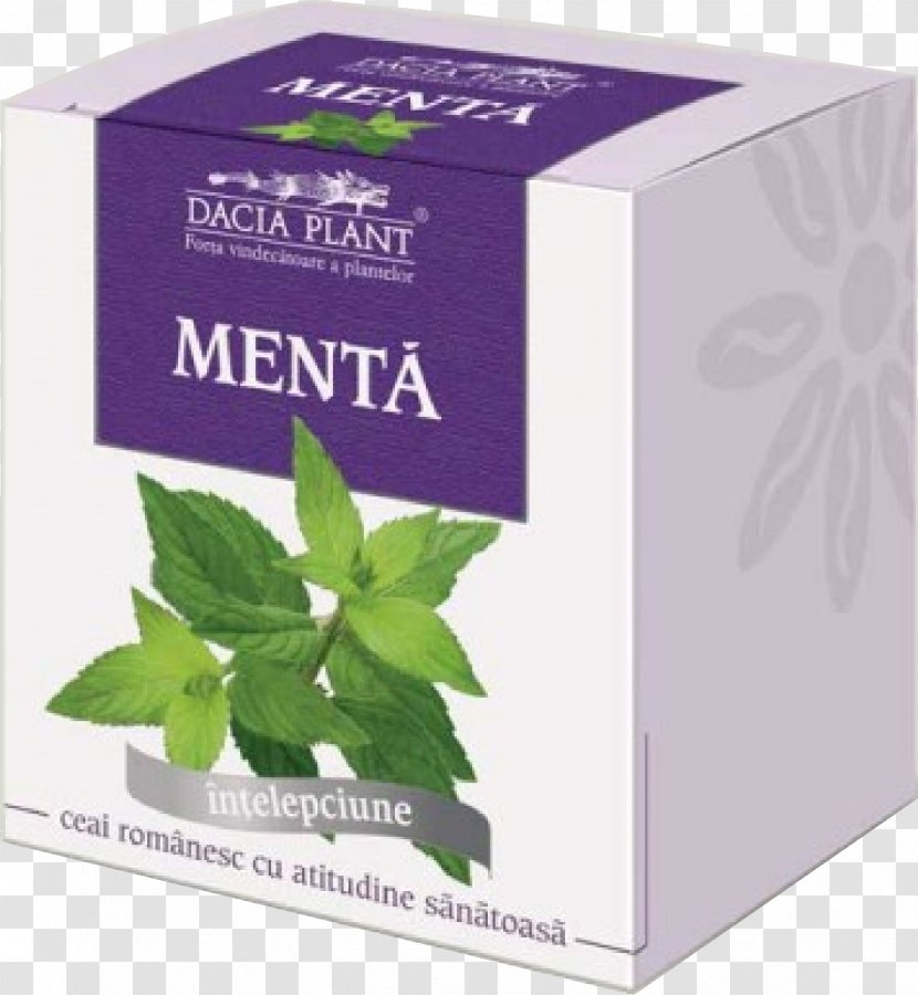 Tea Mint Plant Milk Chamomile - Herb Transparent PNG