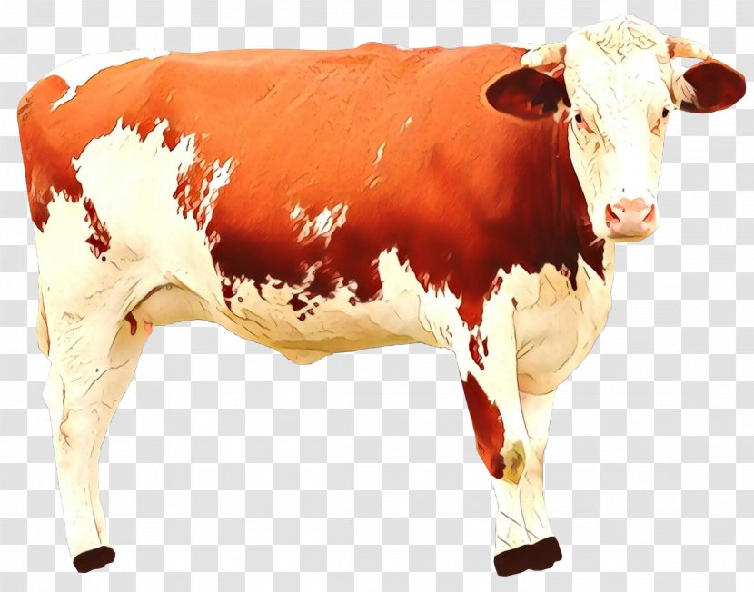 Dairy Cow Bovine Cow-goat Family Livestock Bull - Cowgoat Transparent PNG