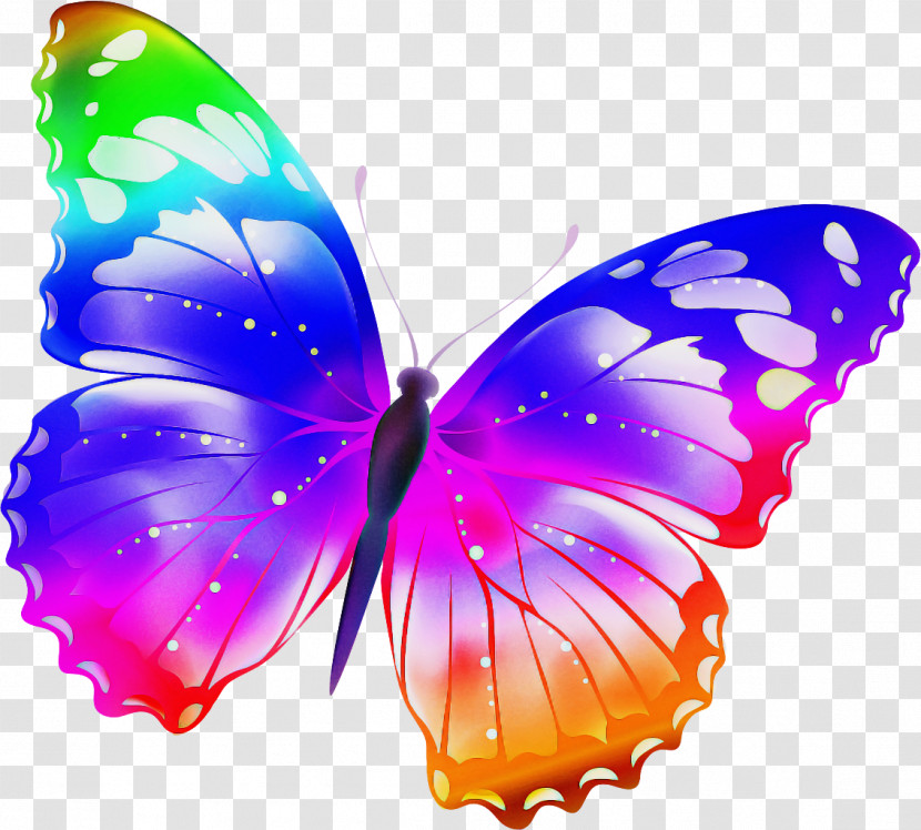Butterfly Insect Moths And Butterflies Pollinator Purple Transparent PNG
