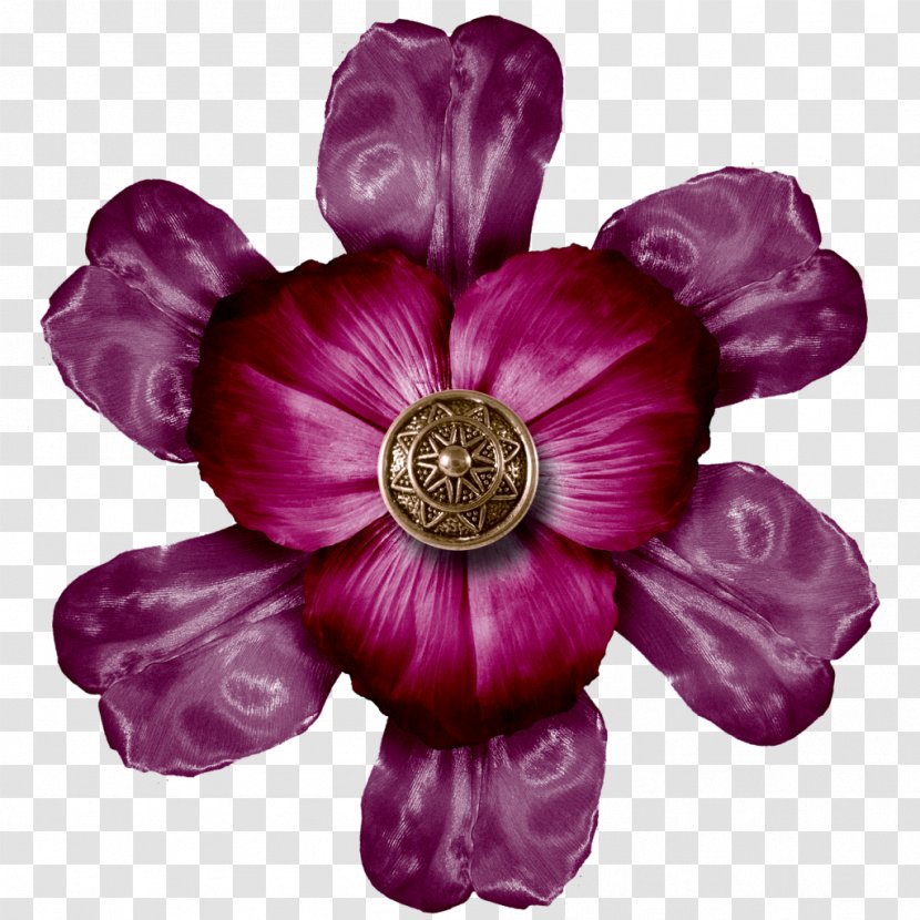 Flower 0 Plant Violet November - Blog - Vintage Transparent PNG