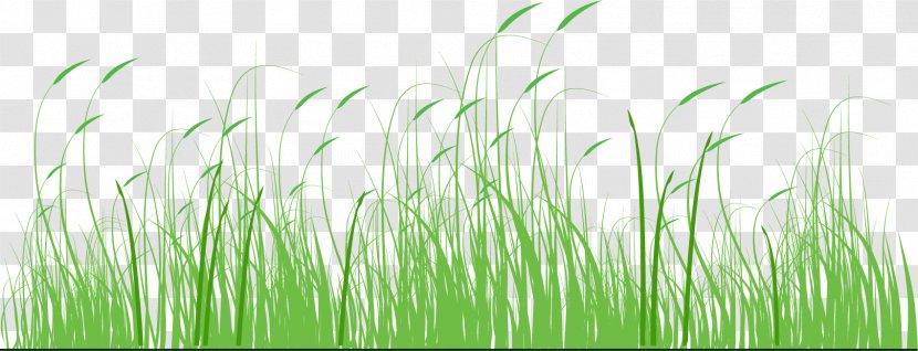 Fathers Day Sales Promotion Festival Parent - Father - Cartoon Green Grass Transparent PNG