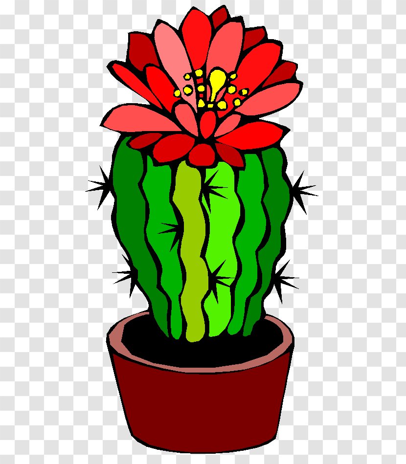 Barrel Cactus Flower Clip Art Transparent PNG