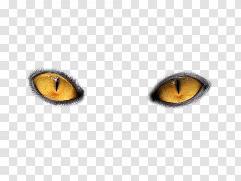Cat's Eye - Yellow - Eyes Png Image Transparent PNG