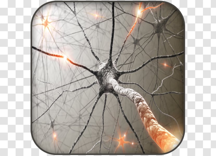 Brain Stimulation Nervous System Auditory KAEF - Watercolor - Multiple Sclerosis Transparent PNG