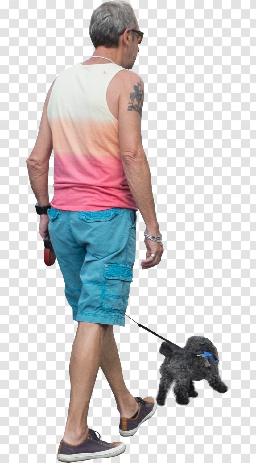 Dog Walking Pet Sitting Leash - Arm Transparent PNG