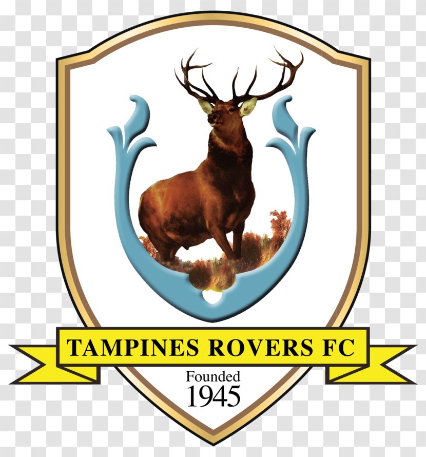 Tampines Rovers FC Singapore Premier League Young Lions Hougang United Geylang International - National Football Team Transparent PNG