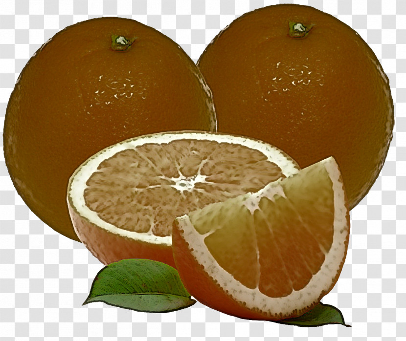 Orange Transparent PNG