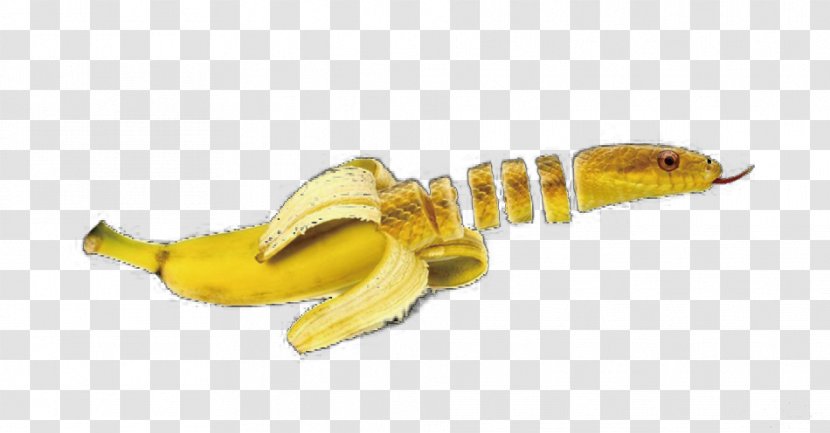 Banana Snake Animal Fruit Vegetable - Creative Transparent PNG