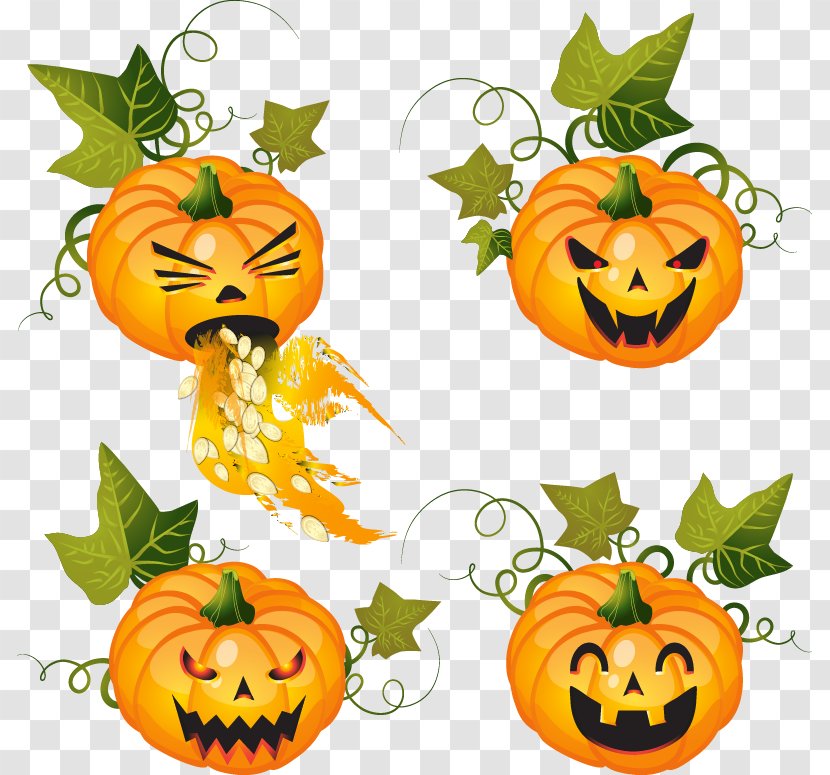 Pumpkin Halloween Jack-o'-lantern Clip Art - Vegetable - Head Transparent PNG