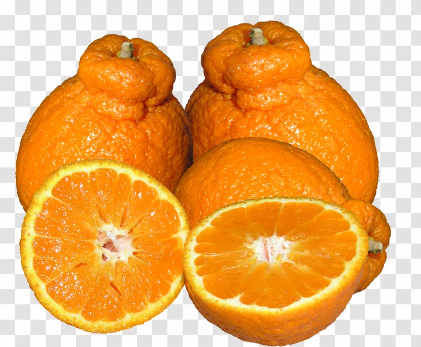 Mandarin Orange Tangerine Tangelo Rangpur Clementine - Blood - Citrus Transparent PNG