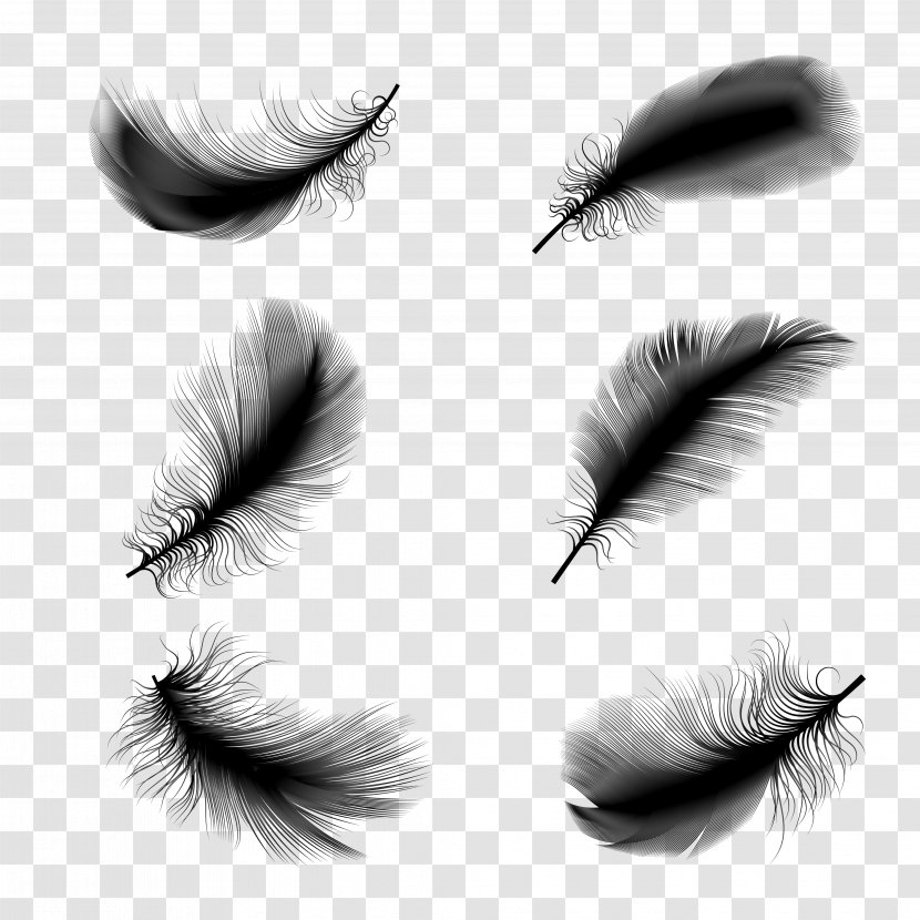 Bird Feather Euclidean Vector Illustration - Monochrome Transparent PNG