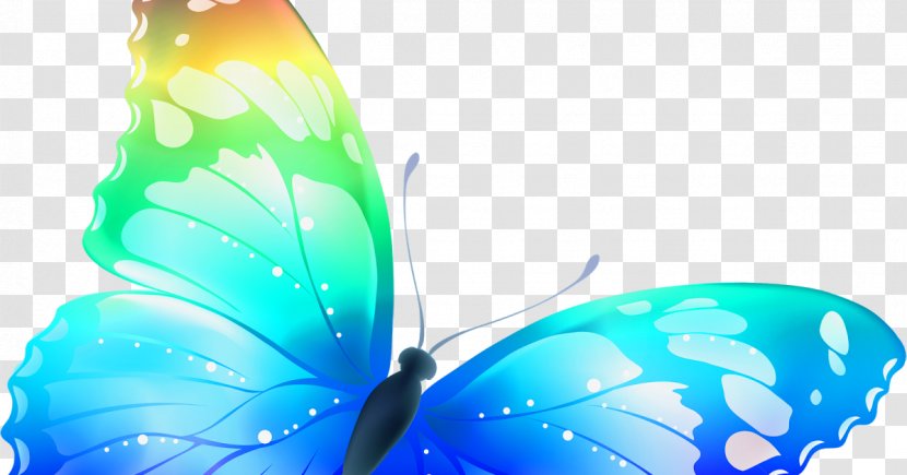 Butterfly Desktop Wallpaper Clip Art - Pollinator - Multicolor Transparent PNG