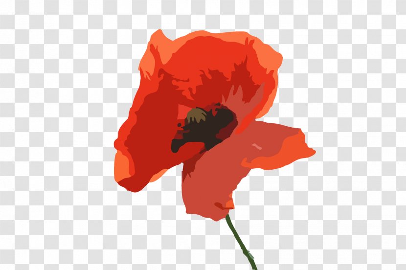 Orange - Plant - Oriental Poppy Petal Transparent PNG