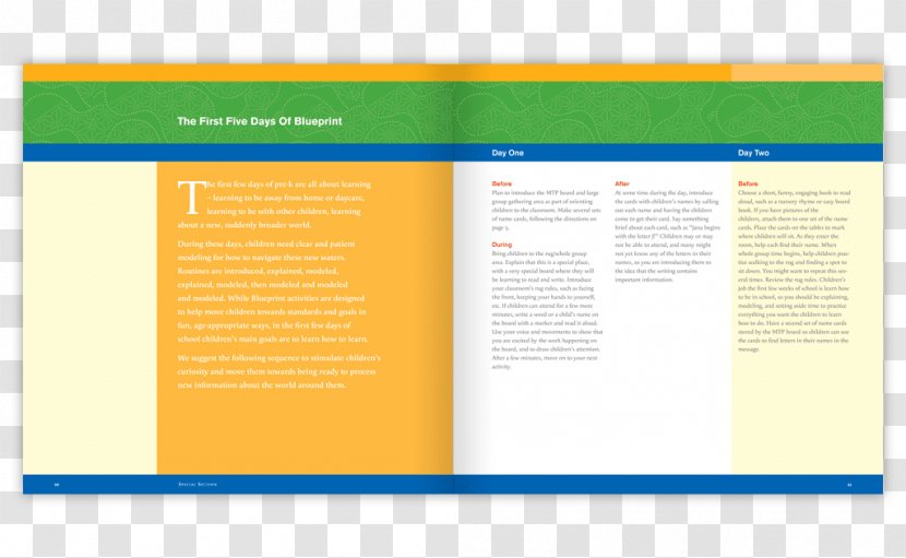 Brand Web Page Brochure Font - Kindergarten Leaflets Transparent PNG