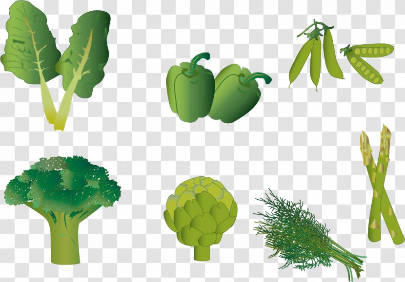 Leaf Euclidean Vector - Tree - Cooking Eat Transparent PNG