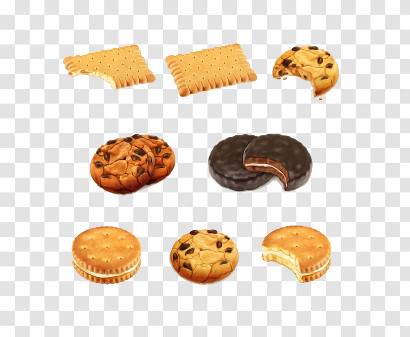 Chocolate Chip Cookie Biscuit Stock Illustration - Exchange Transparent PNG