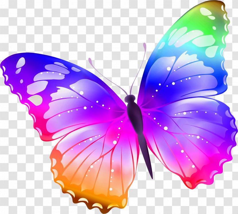 The Witcher Butterfly Sticker Clip Art - Invertebrate - Buterfly Transparent PNG