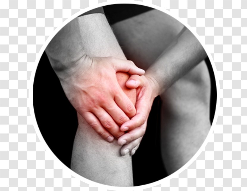 Knee Pain Hamstring Arthritis Baker's Cyst - Cartoon - Massage Head Transparent PNG