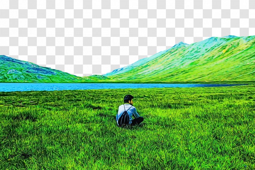 Grassland Natural Landscape Nature Highland Grass - Pasture - Mountainous Landforms Transparent PNG