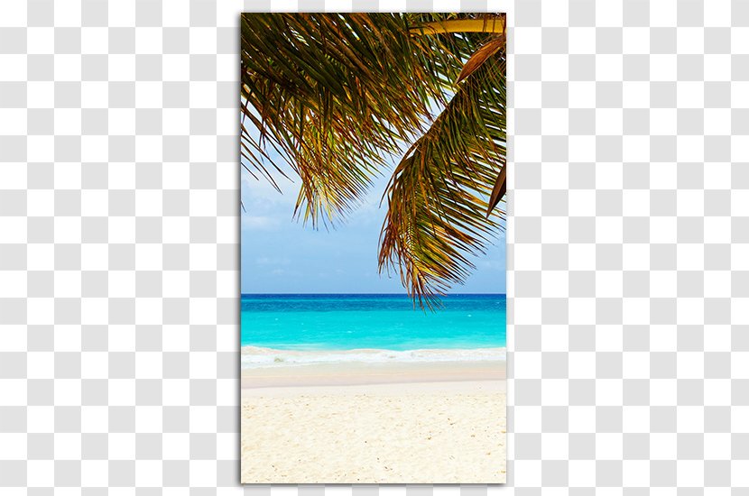 Caribbean Desktop Wallpaper Playa Del Carmen IPhone High-definition Television - Vacation - Background Walpapper Transparent PNG