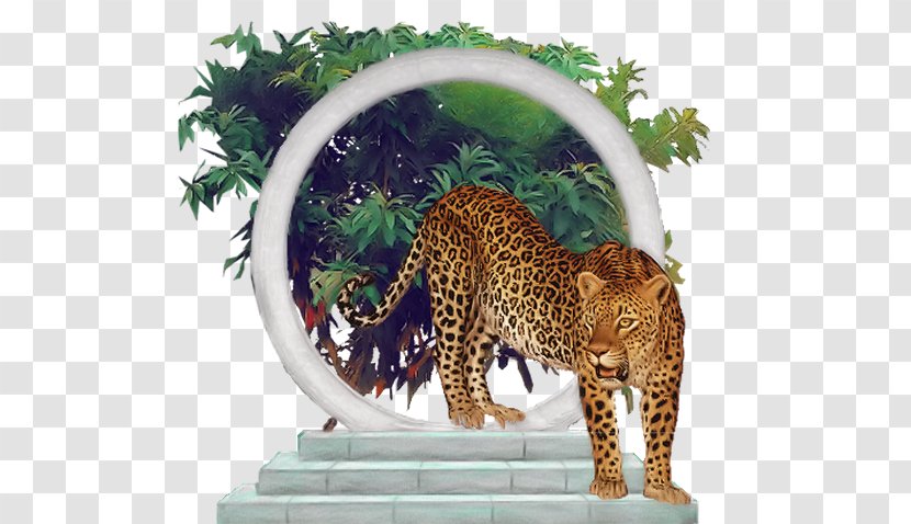 Leopard Felidae Jaguar Blog Cheetah - Terrestrial Animal Transparent PNG