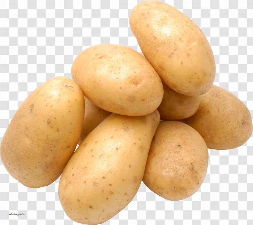 Potato Clip Art - Yukon Gold - Picture Transparent PNG