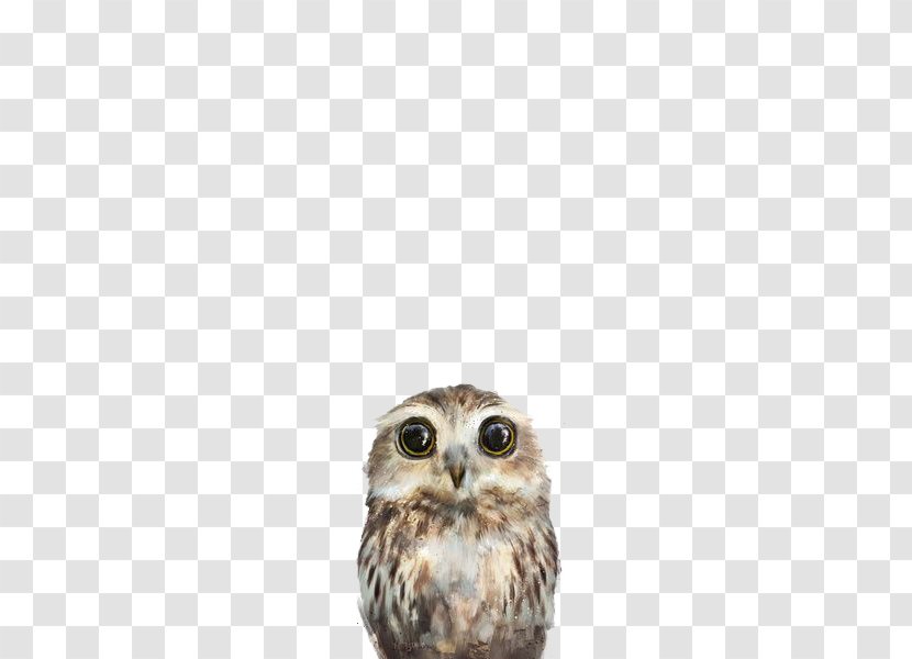 Little Owl Amy Hamilton Design + Illustration Poster Art - Painting Transparent PNG