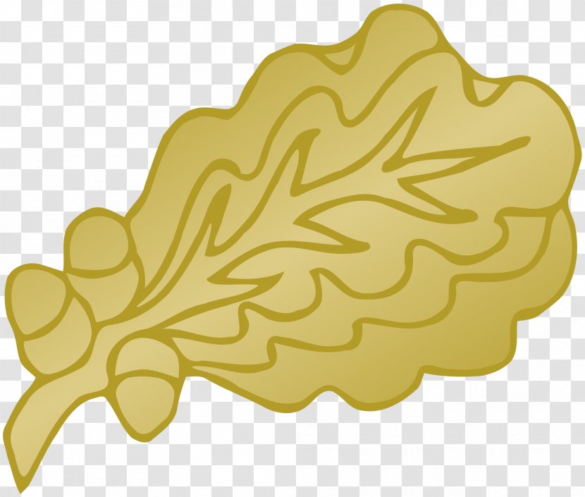 Oak Leaf Cluster Swamp Spanish Gold Clip Art - Fruit Transparent PNG