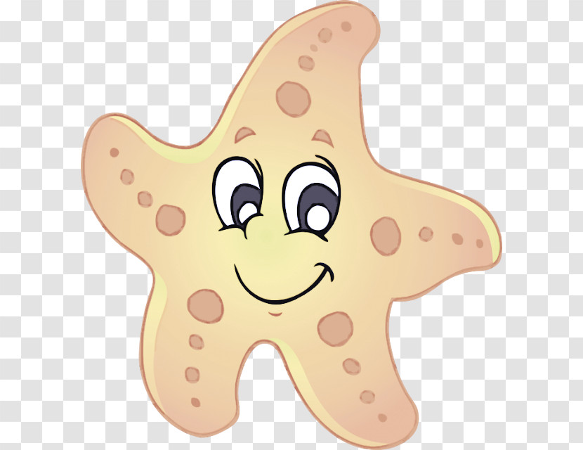 Starfish Ocean Sea Star Oreaster Reticulatus Transparent PNG