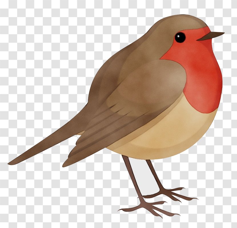 Feather - Bird - Robin Nightingale Transparent PNG