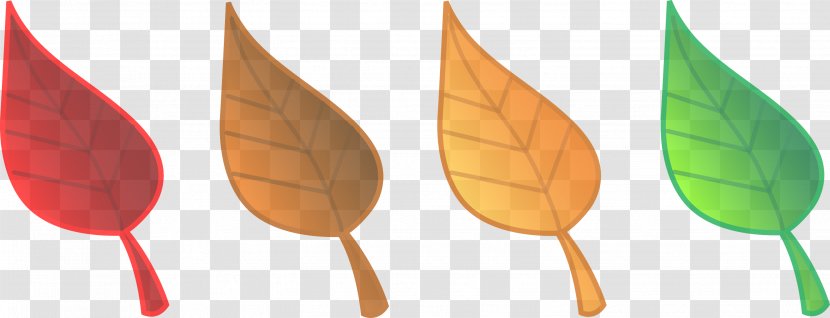 Orange - Deciduous - Tree Transparent PNG