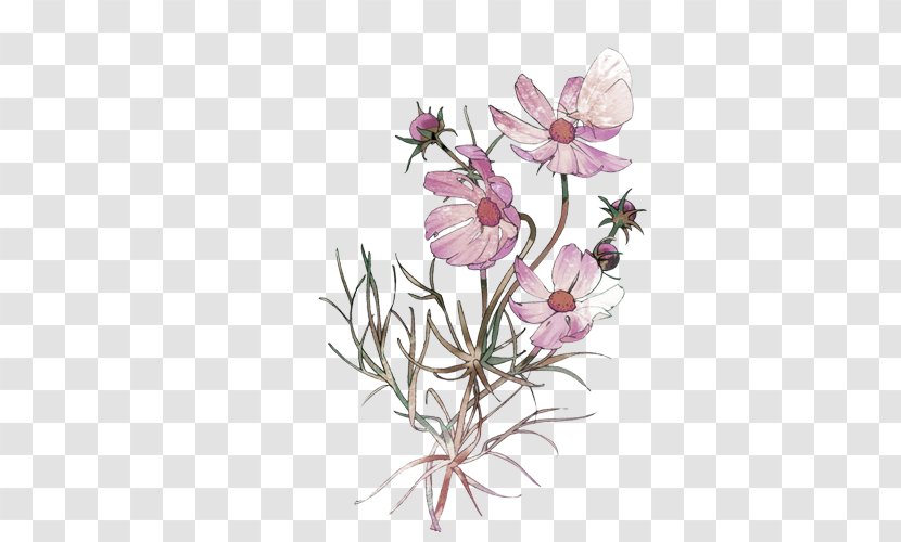Floral Design Nosegay Flower Bouquet Icon - Cherry Blossom - Pale Pink Fresh Decorative Pattern Transparent PNG
