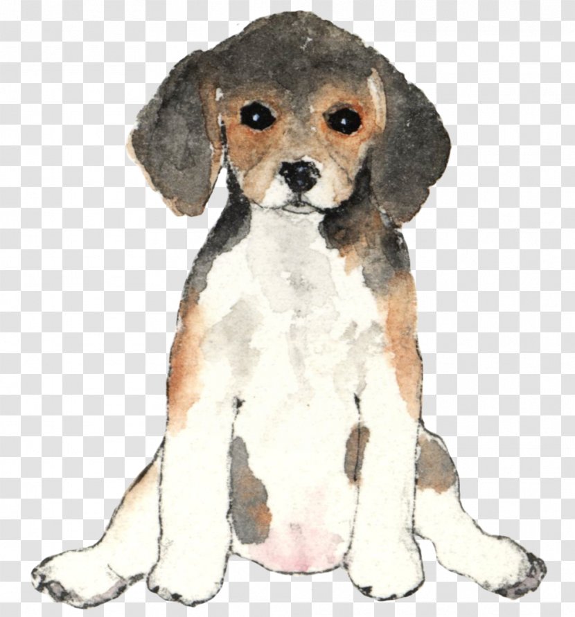 Puppy Dog Breed Beagle Companion Training - Stuffed Animals Cuddly Toys Transparent PNG