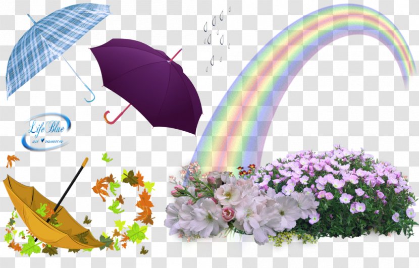 Floral Design Umbrella Rain Icon - Petal Transparent PNG