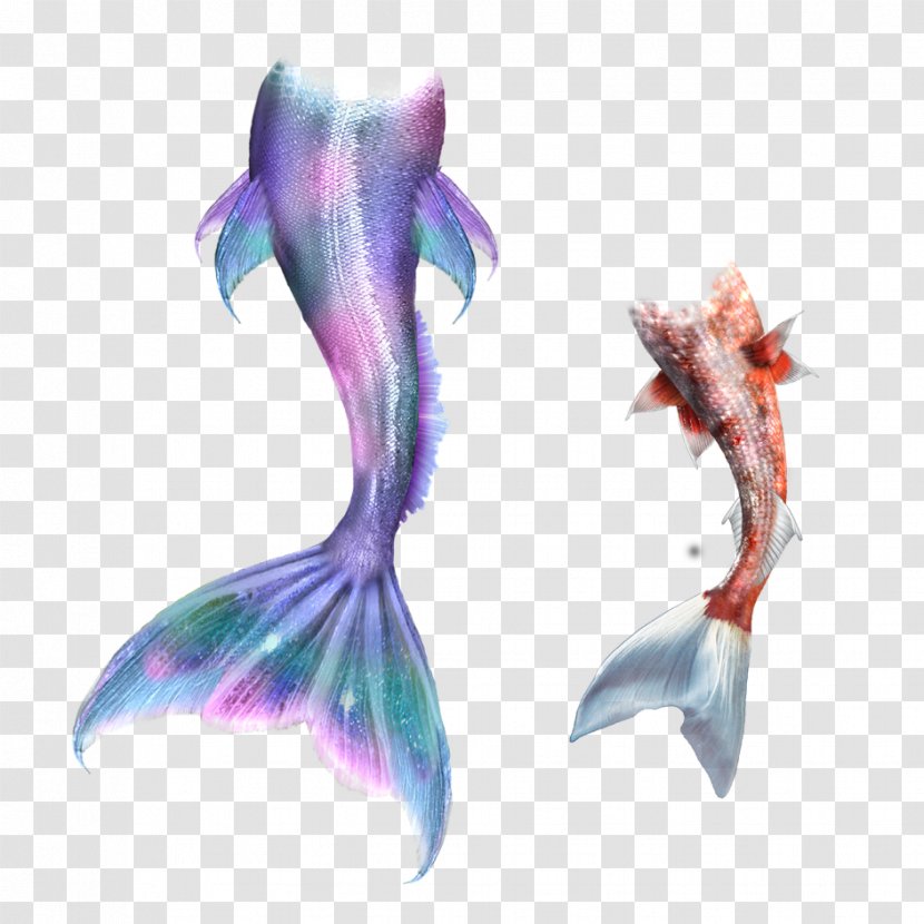 Mermaid Drawing Merman Fairy Tale - Art - Tail Transparent PNG