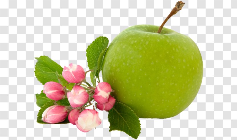 Apple Granny Smith Blossom Flower Fruit - Apples - Green Transparent PNG