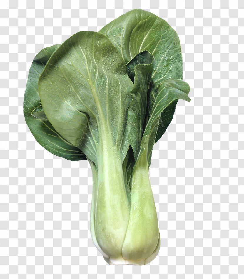 Cabbage Chinese Cuisine Bok Choy Vegetable Chard - Green Vegetables Transparent PNG