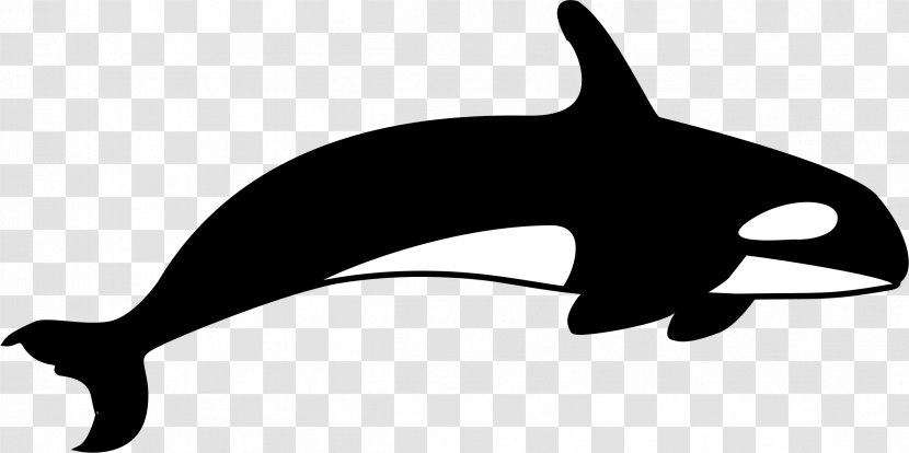 Killer Whale T-shirt Clip Art - Free Willy Transparent PNG