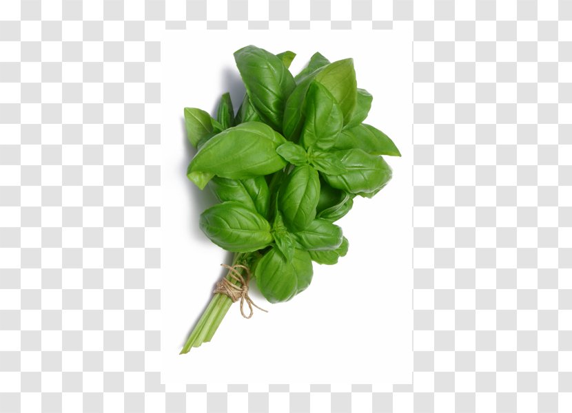 Basil Pizza Syrup Herbal Tea - Restaurant Transparent PNG