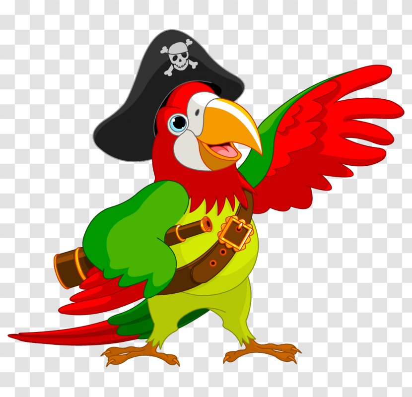 Pirate Parrot Piracy Jack Sparrow Clip Art - Vertebrate Transparent PNG