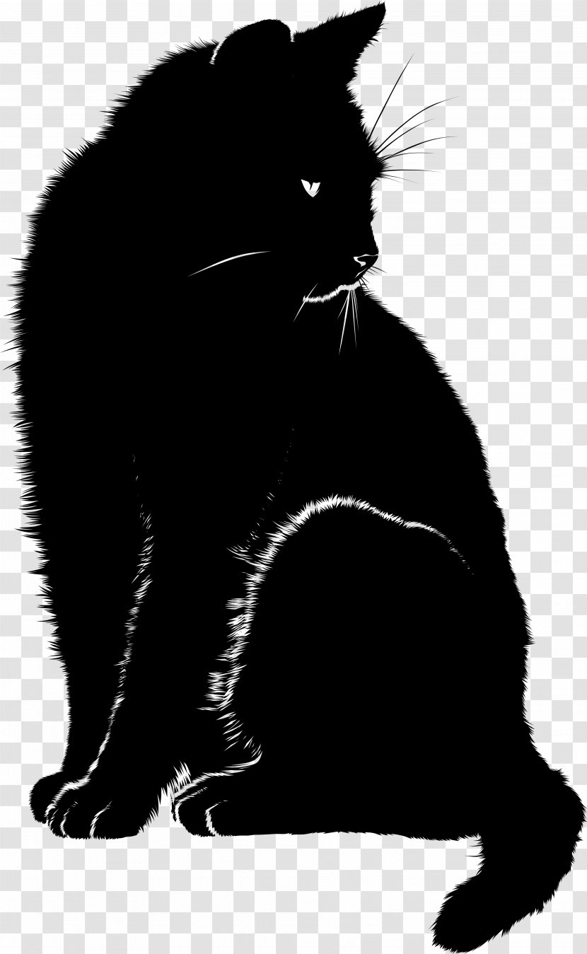 Black Cat Bombay Domestic Short-haired Dream Wildcat - Ibn Sirin - Tail Transparent PNG