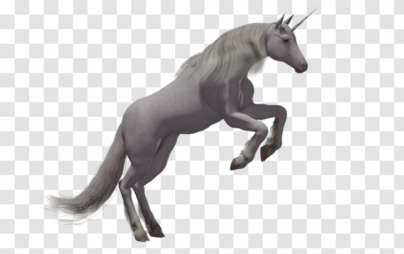 Horse Unicorn - Coreldraw Transparent PNG